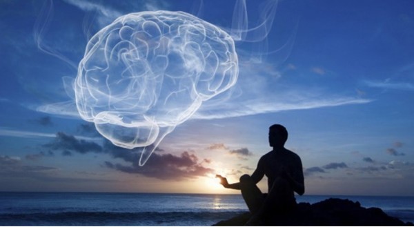 meditation-and-the-brain-e1447864334995